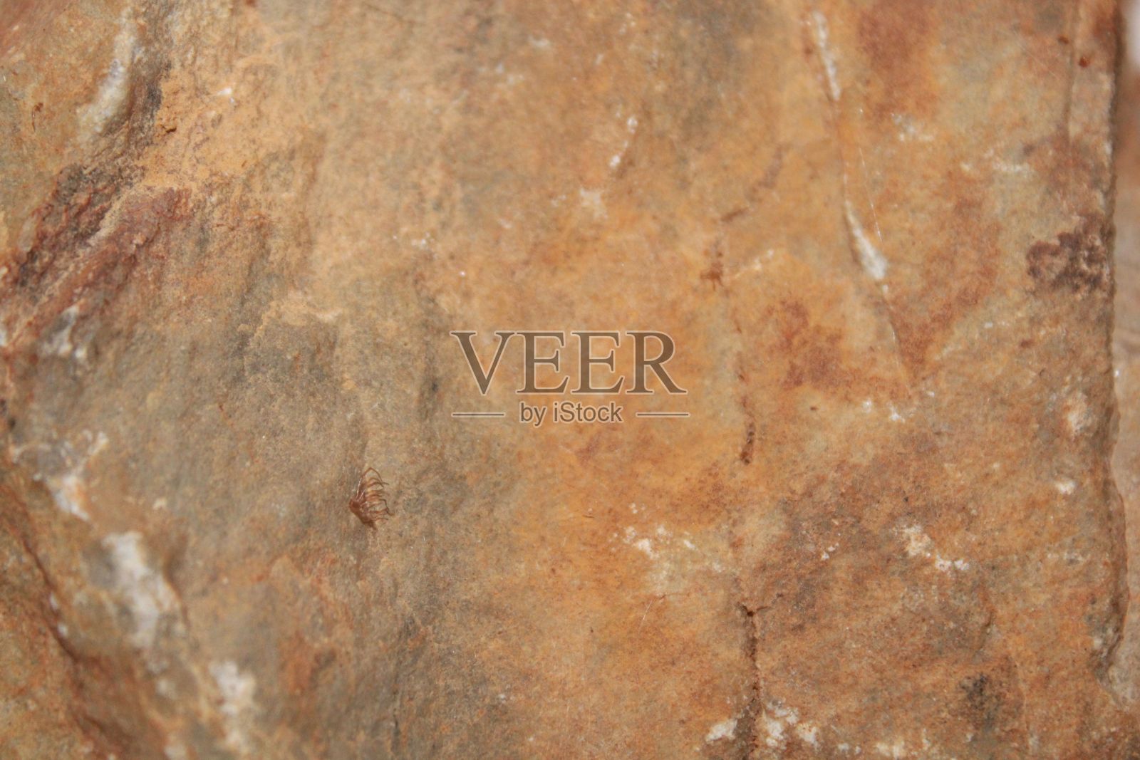 近距离拍摄的棕色和橙色的岩石纹理照片摄影图片