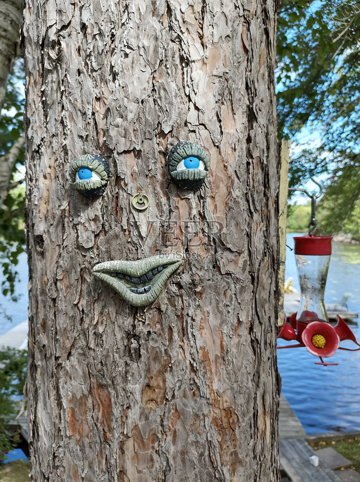 快乐树!照片摄影图片