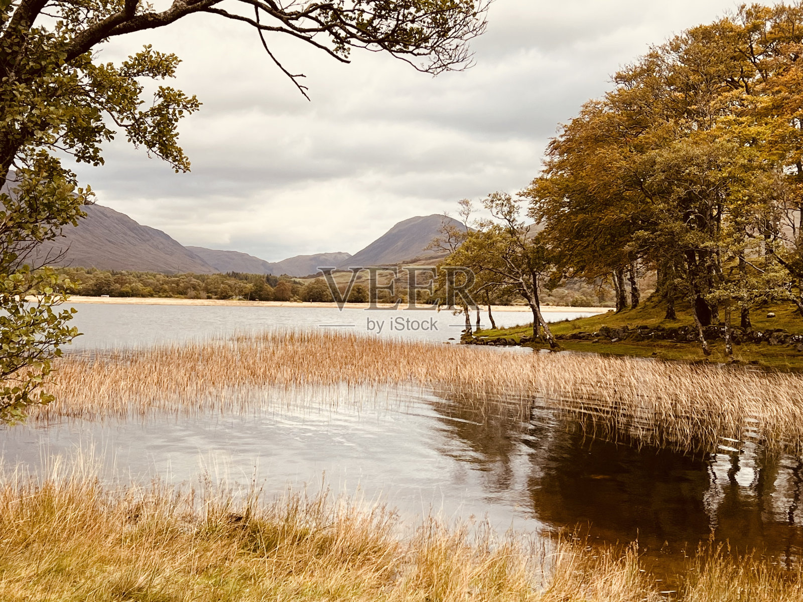 苏格兰的克拉迪奇照片摄影图片