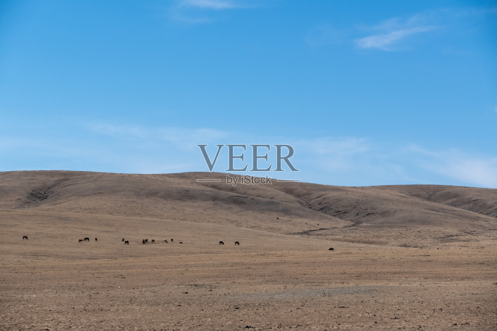 自然景观公路位于蒙古国中部,从乌兰巴托到哈尔克林市的公路之旅照片摄影图片