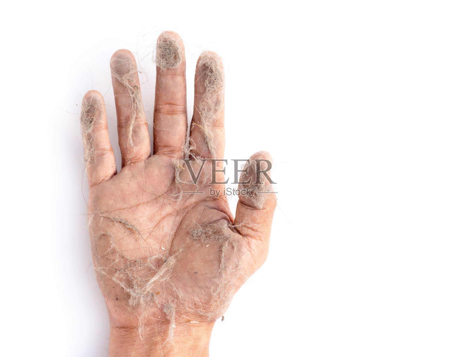 手上有许多灰尘,皮毛和头发,关于过敏或病因的概念照片摄影图片