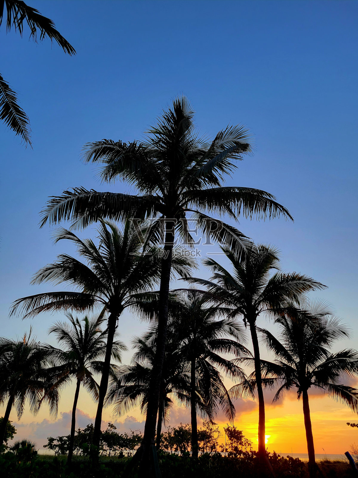 日出照片摄影图片