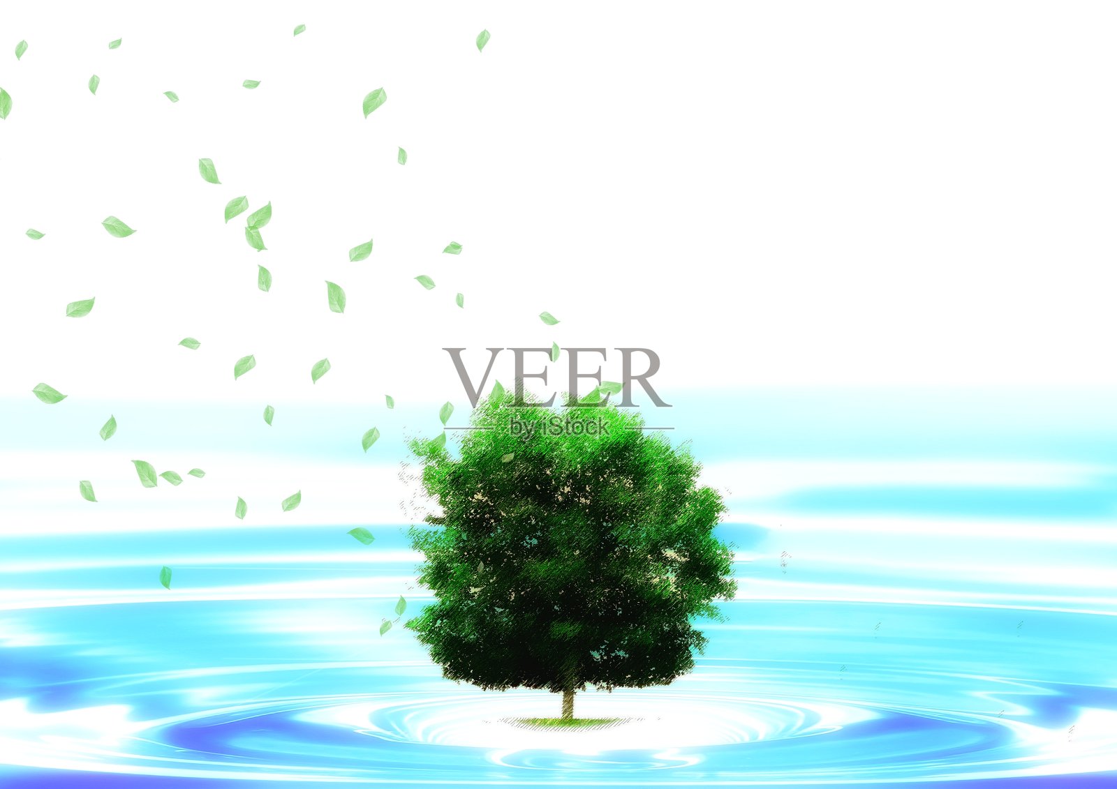 水中生长的单棵树3D图照片摄影图片