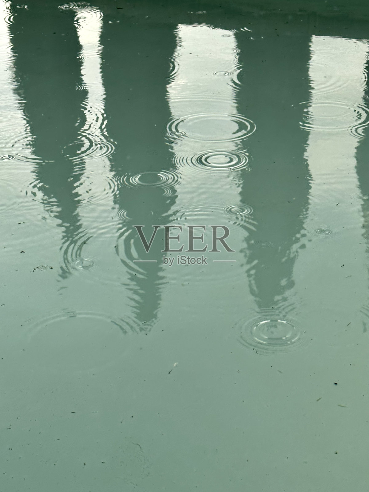 在意大利托斯卡纳的一个雨天,柏树在水池中的倒影照片摄影图片