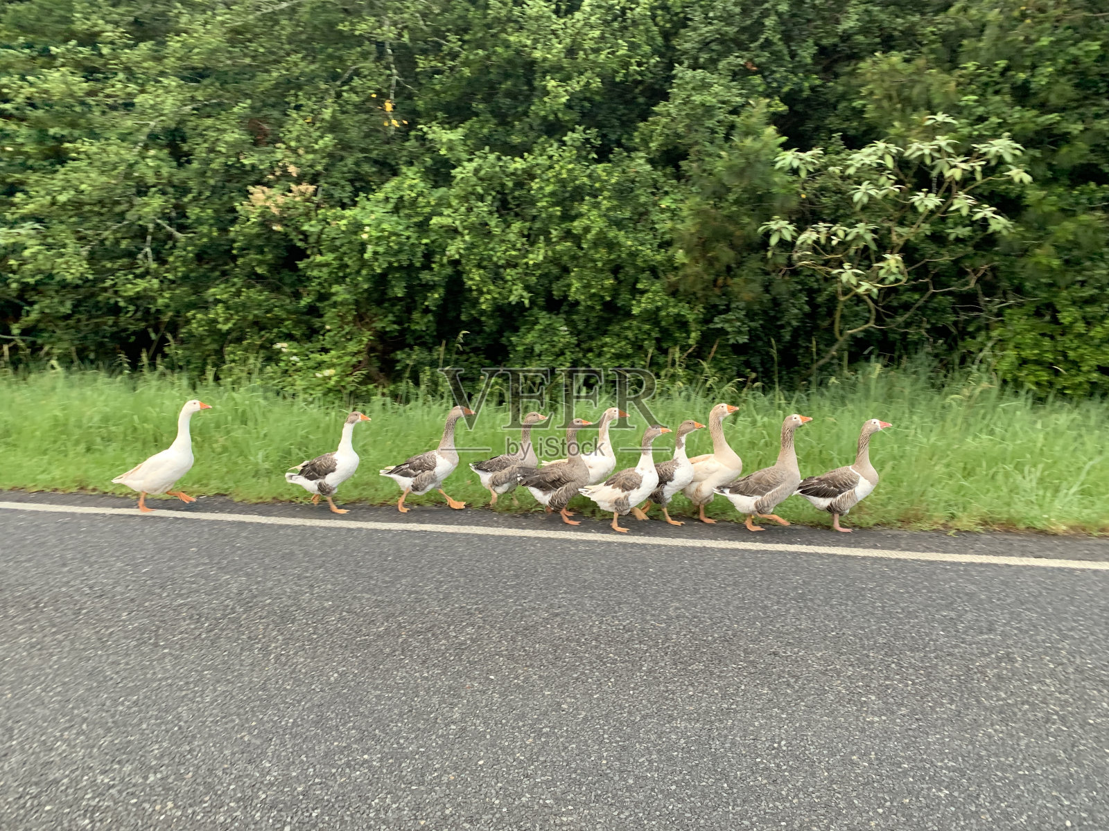 高峰时间照片摄影图片