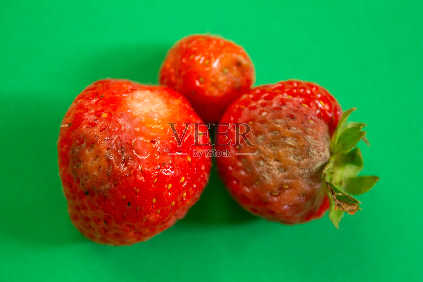 腐烂草莓的特写照片照片摄影图片