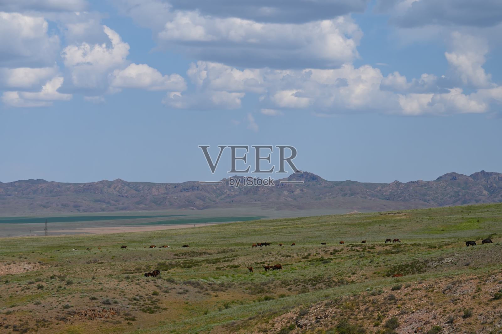 阿查利山口景观照片摄影图片