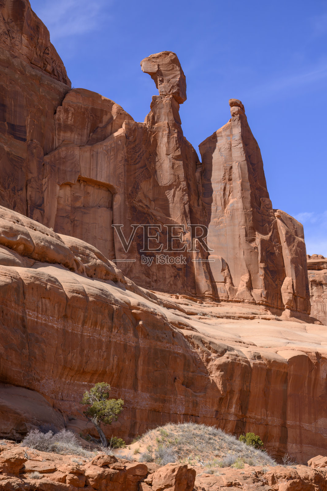 公园大道照片摄影图片