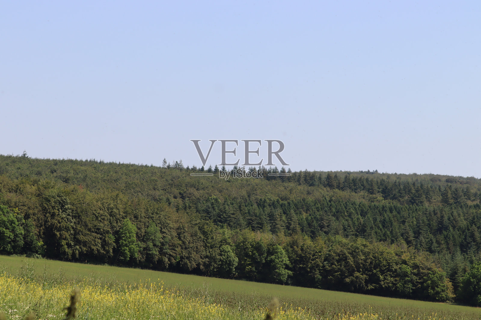 南唐斯丘陵照片摄影图片