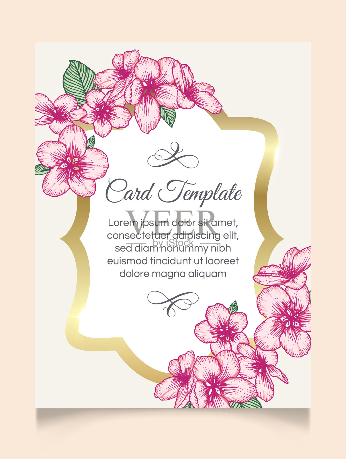 花卉婚礼邀请优雅卡片模板插画图片素材