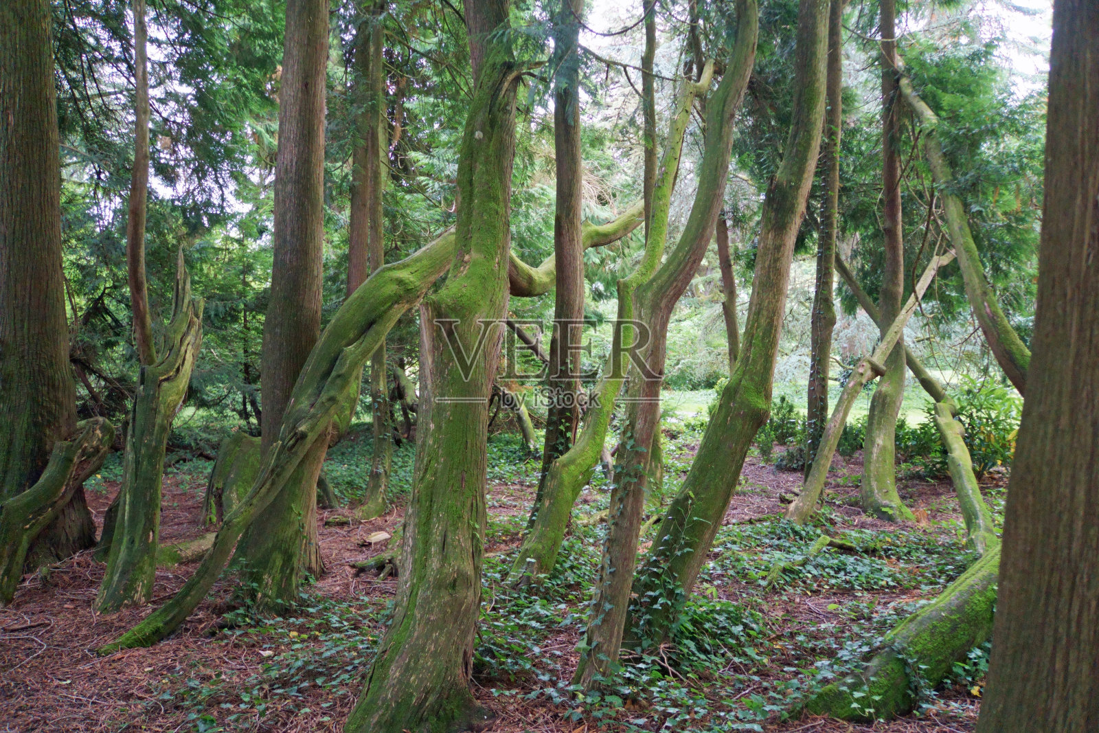 风景照片摄影图片