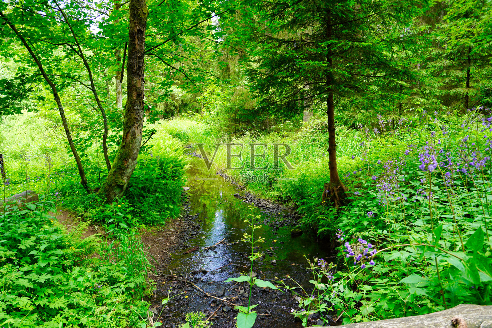 风景照片摄影图片