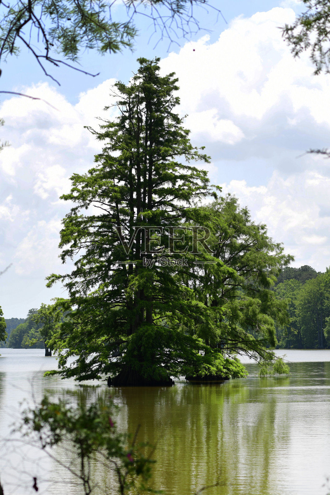 公园与娱乐:第14卷照片摄影图片