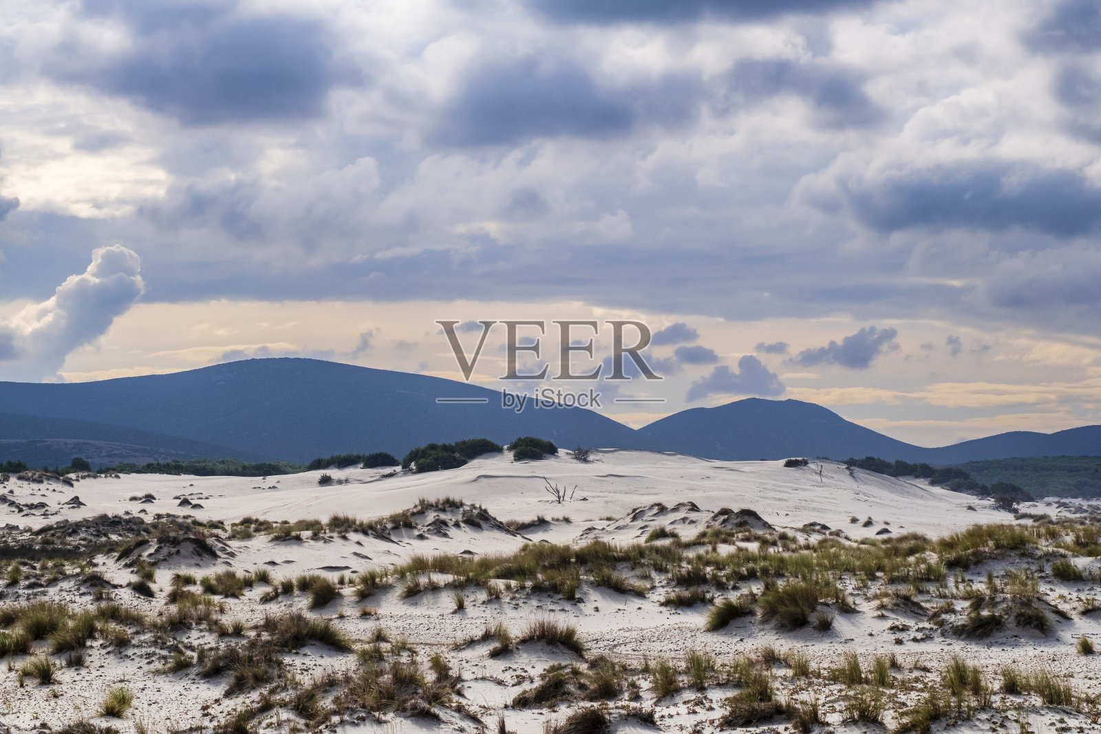 阿里纳斯比安卡斯是意大利撒丁岛皮诺港的白色沙丘吗照片摄影图片