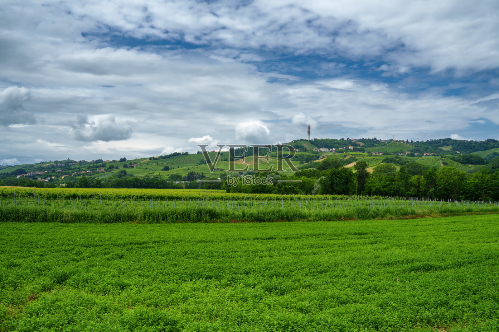 6月的奥尔特雷波帕韦塞山照片摄影图片