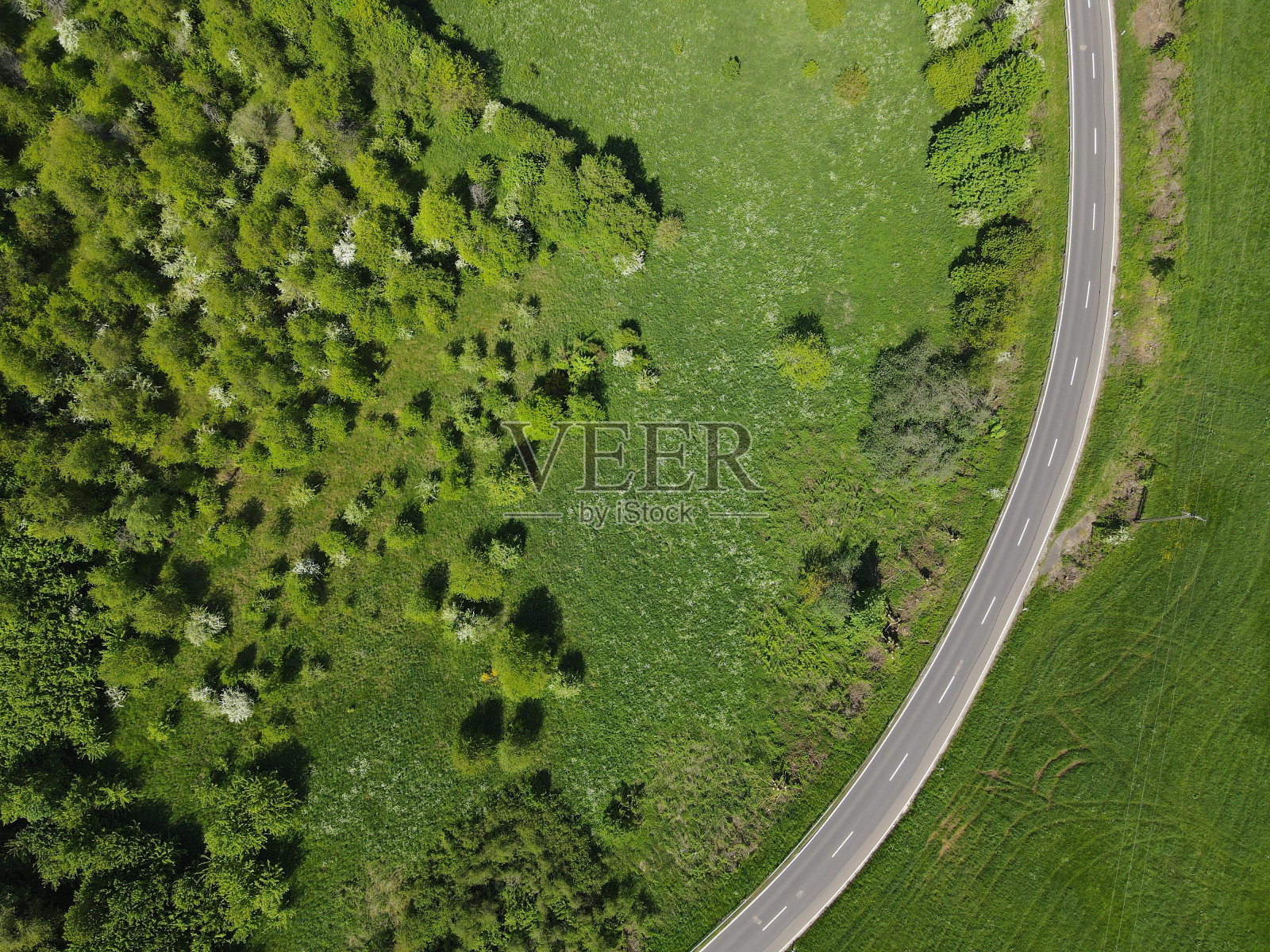在草地和树木之间的道路鸟瞰图照片摄影图片