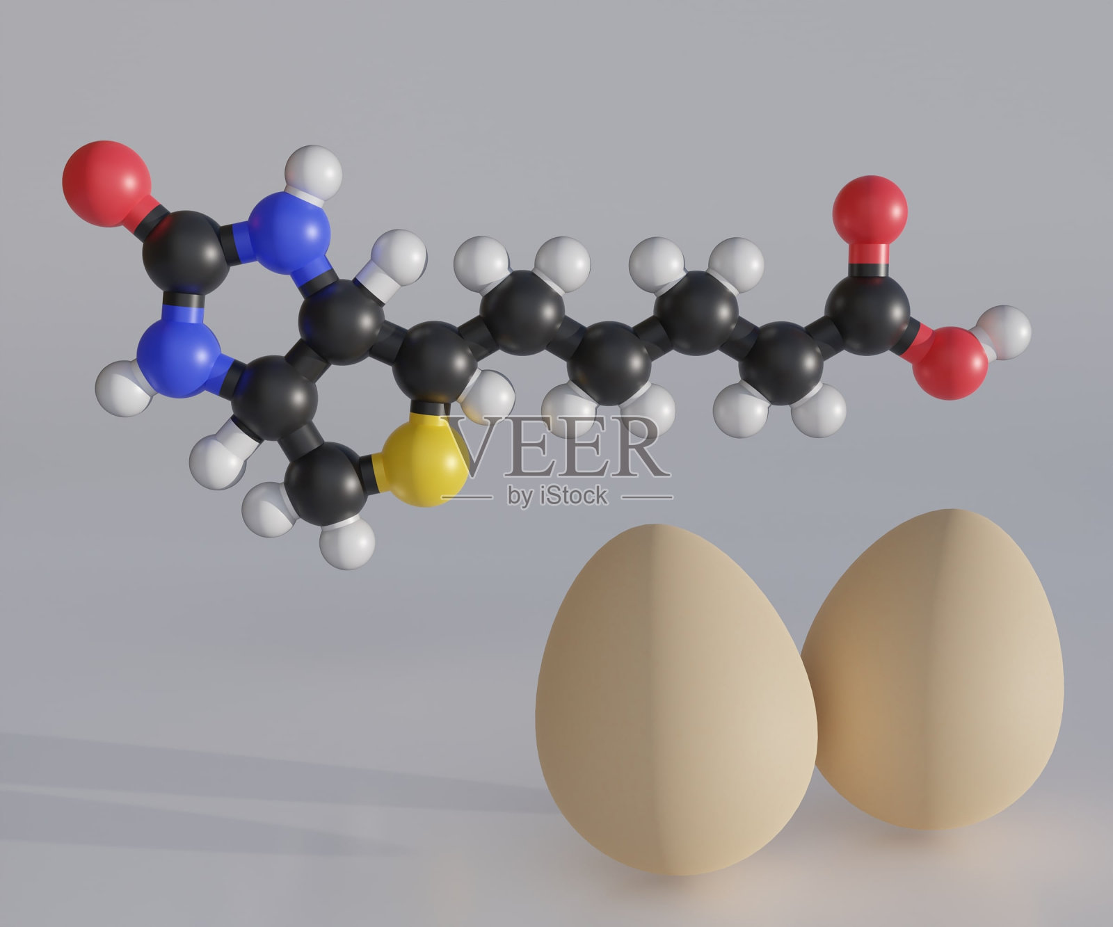 生物素分子与鸡蛋照片摄影图片