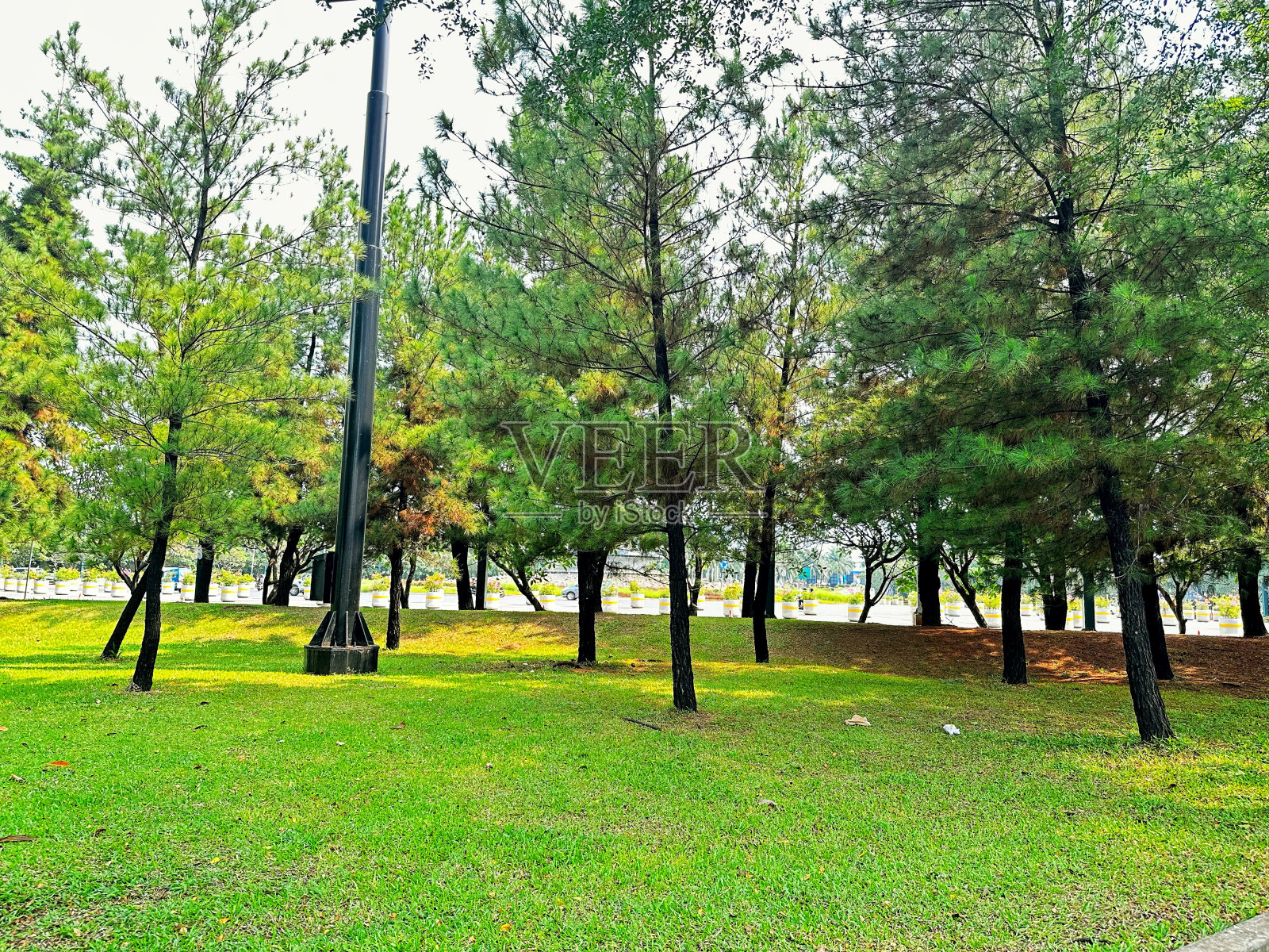 城市公园在郊区照片摄影图片