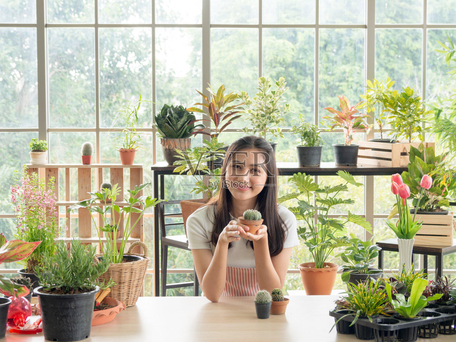 女人的花园照片摄影图片