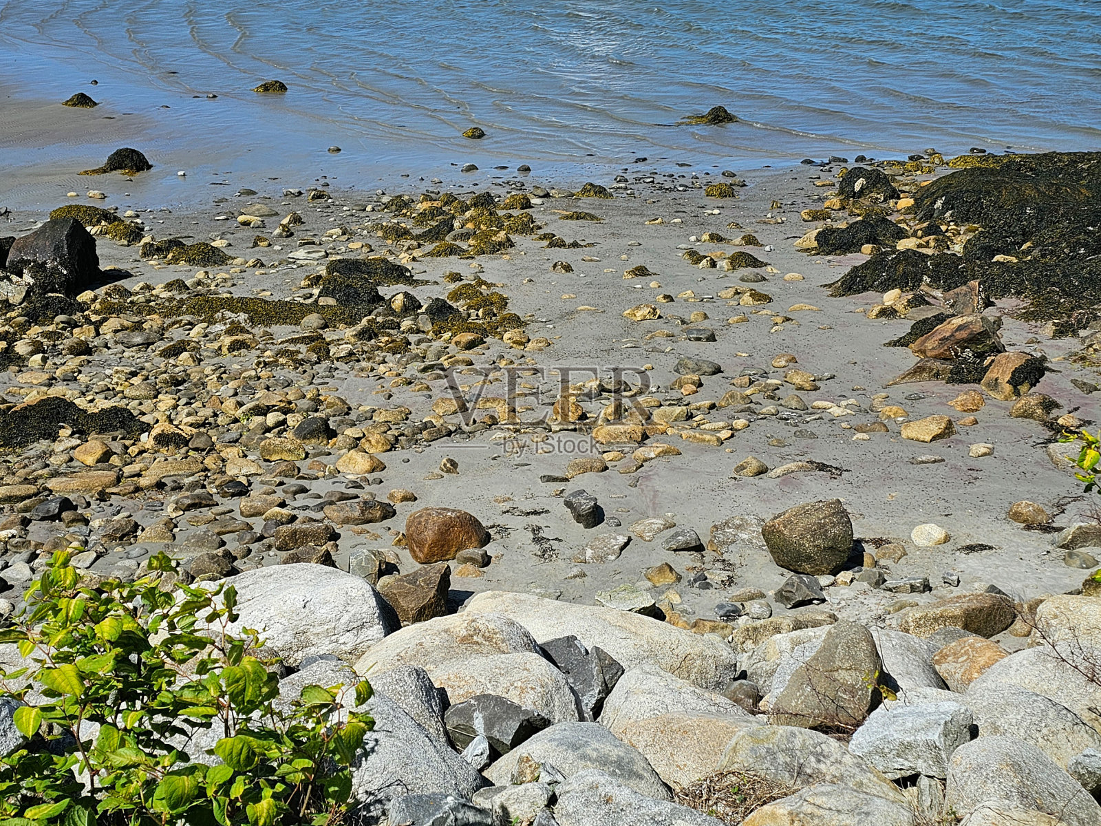 岩石海滩照片摄影图片