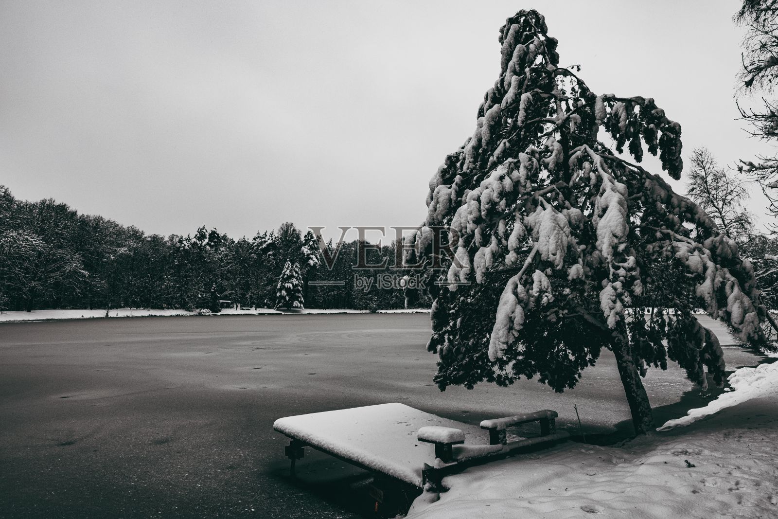 冬天多云的天空下结冰的湖面照片摄影图片