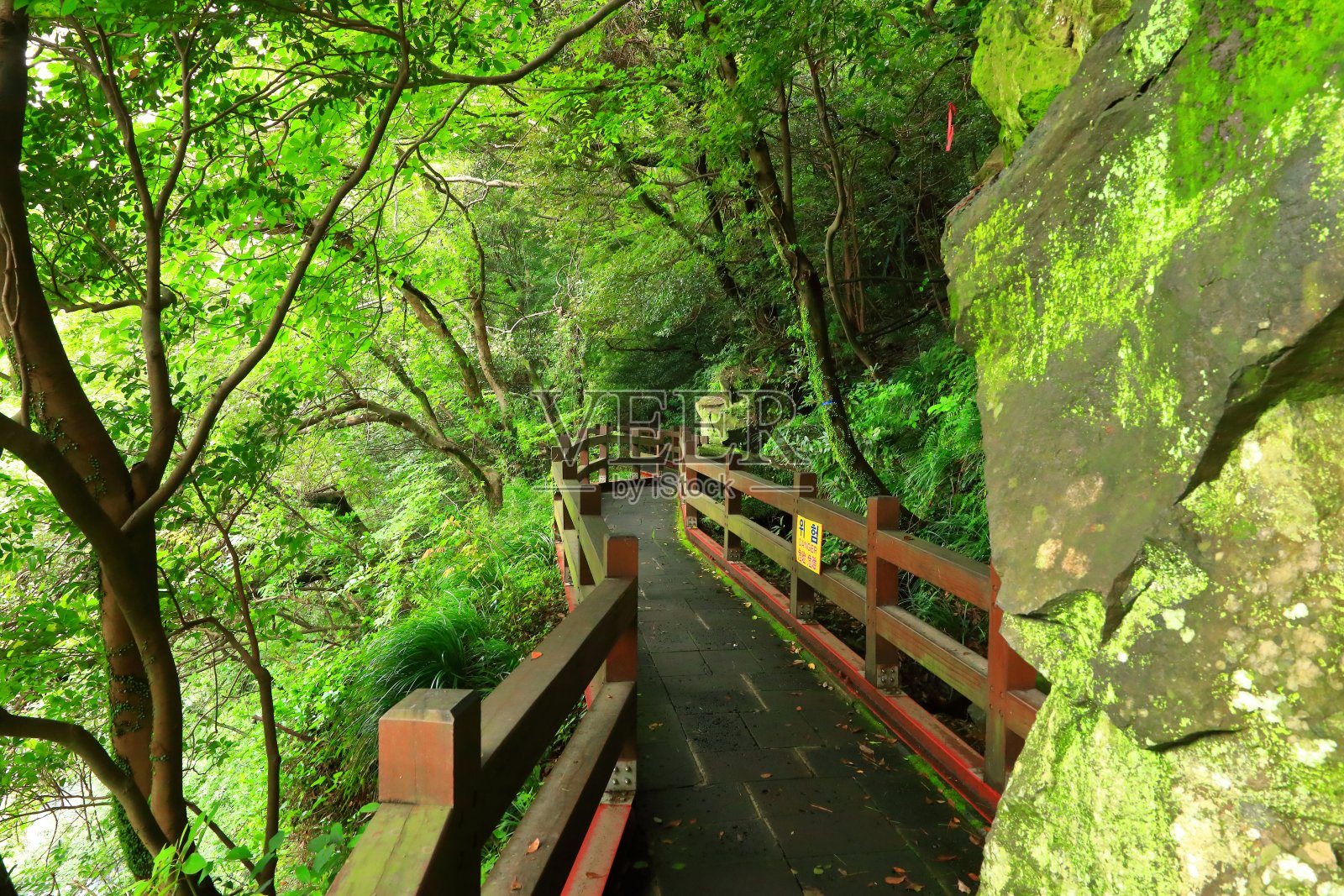 济州岛著名的旅游景点天井瀑布照片摄影图片