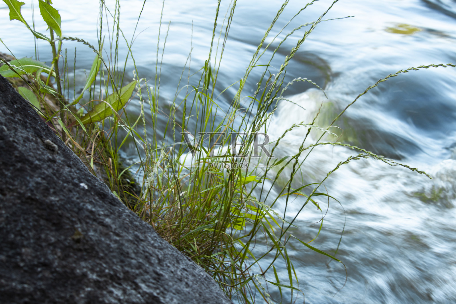 在乌克兰美丽的夏天,河流湍急照片摄影图片