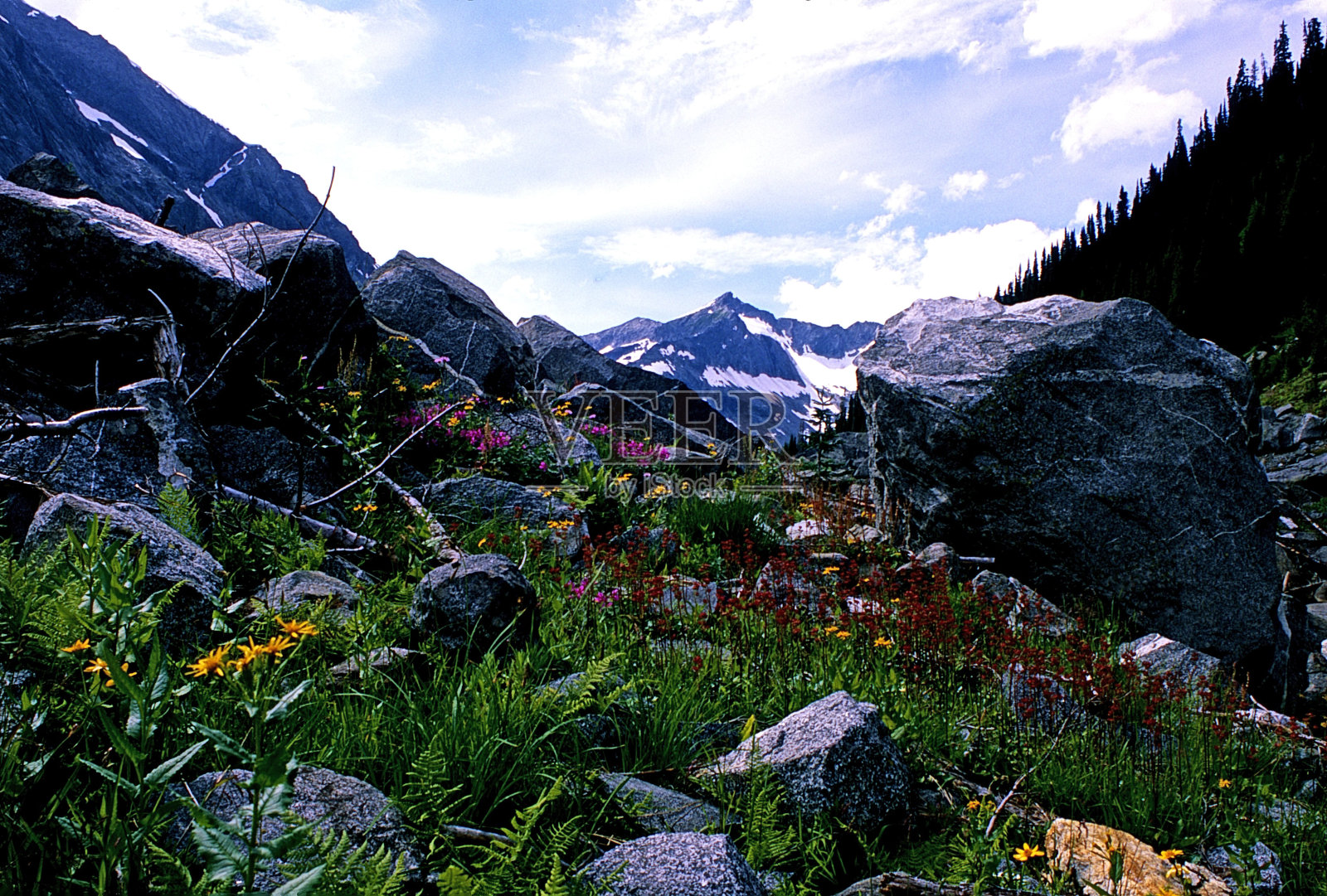 加拿大不列颠哥伦比亚省的坚石山脉照片摄影图片
