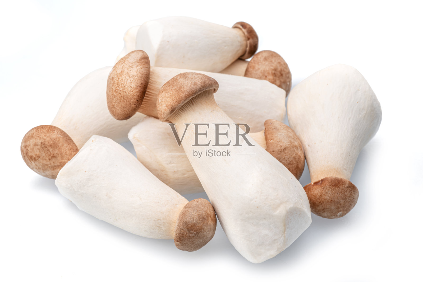 白色背景上分离的王蚝菇或银杏菇。特写镜头。照片摄影图片