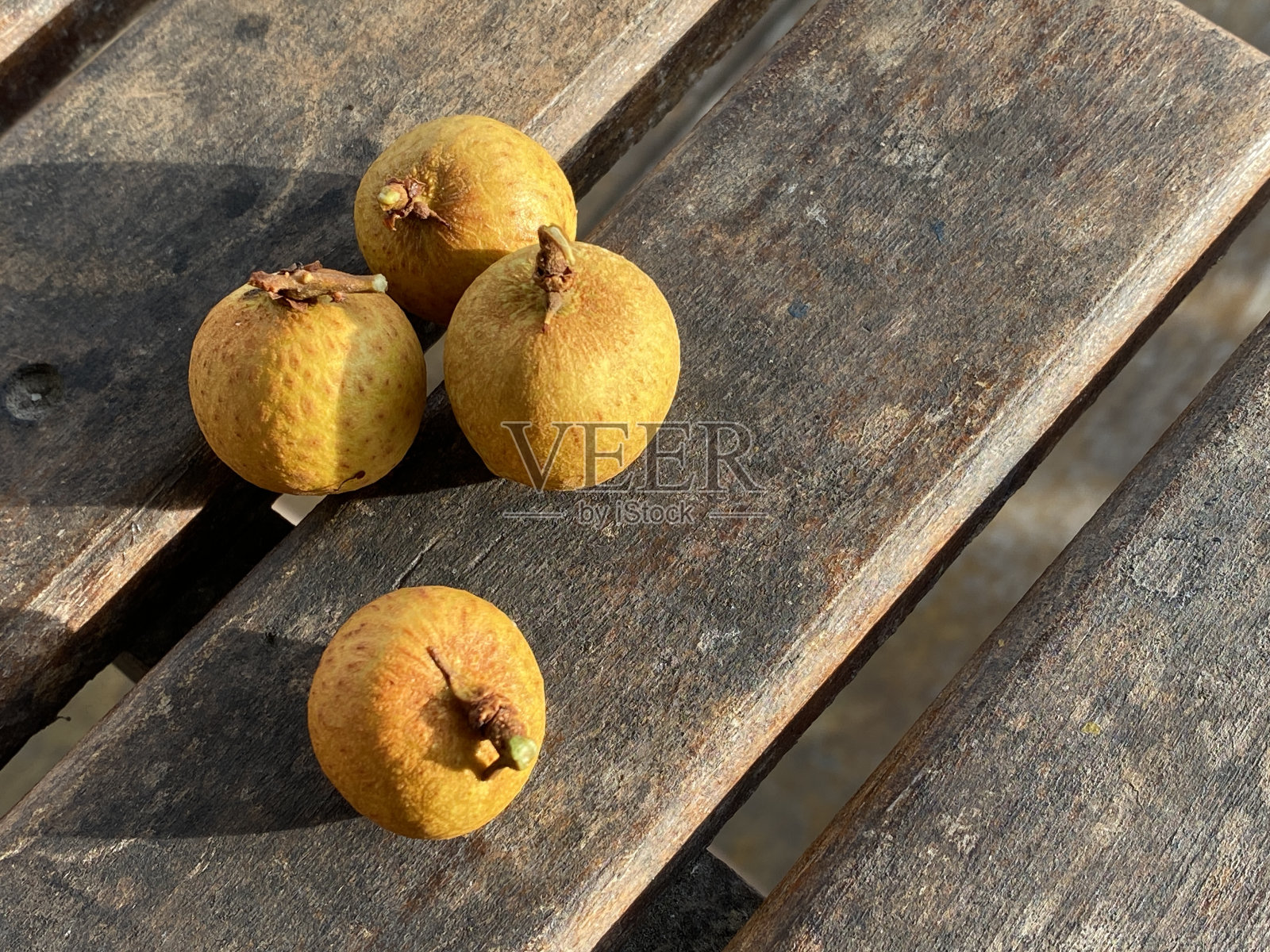 龙眼籽和剩下的龙眼,俗称龙眼果。科学名称:马来快感(皂荚科)照片摄影图片