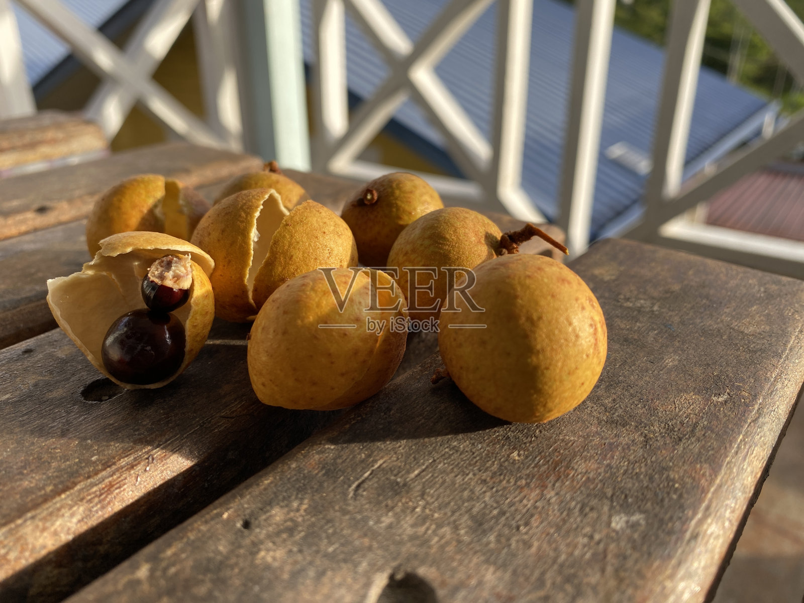 龙眼籽和剩下的龙眼,俗称龙眼果。科学名称:马来快感(皂荚科)照片摄影图片