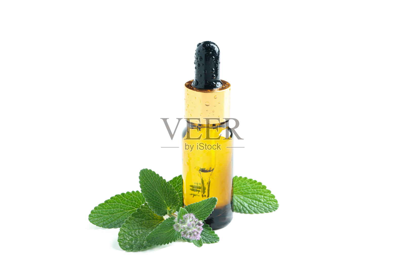一瓶液体和薄荷隔离在白色背景照片摄影图片