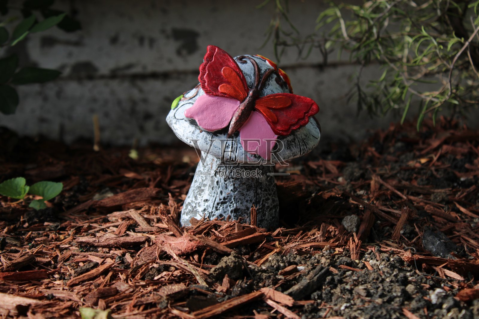 孤独的蘑菇照片摄影图片