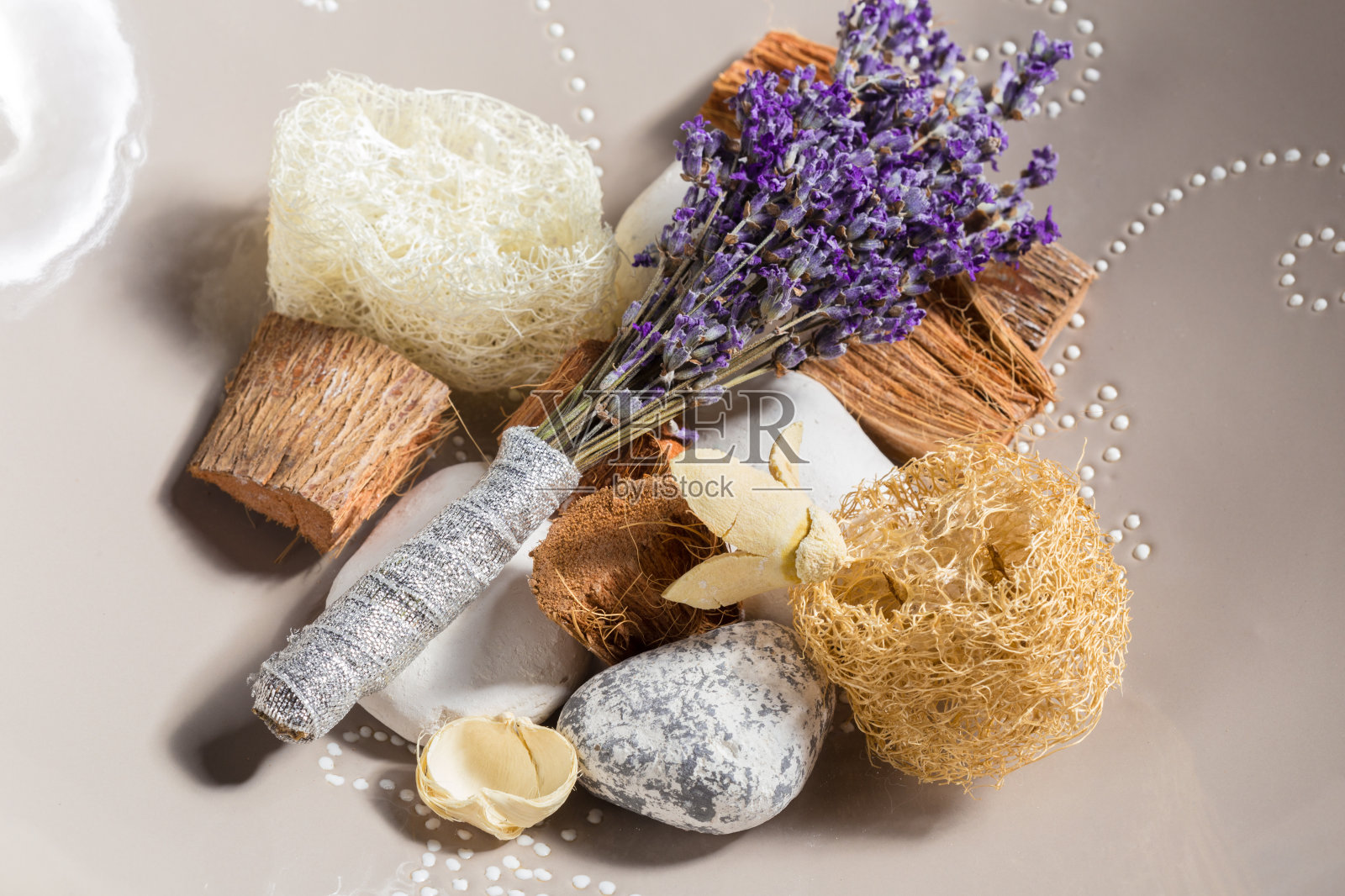 新鲜的薰衣草照片摄影图片