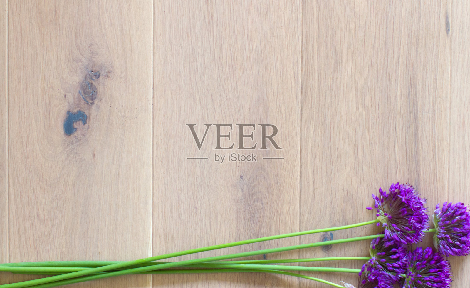 Copyspace横幅庆祝大自然的礼物与花园花束照片摄影图片