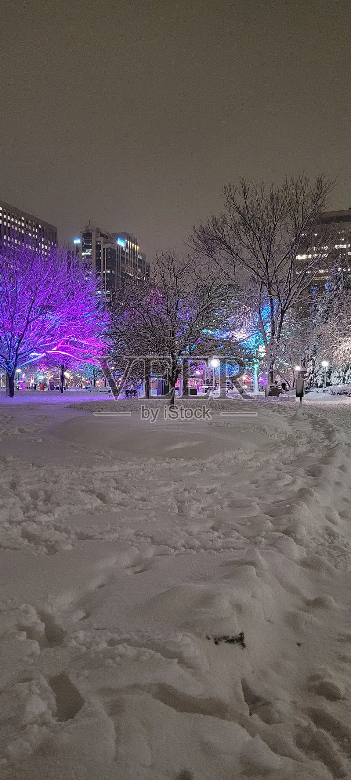照明公园(1)照片摄影图片