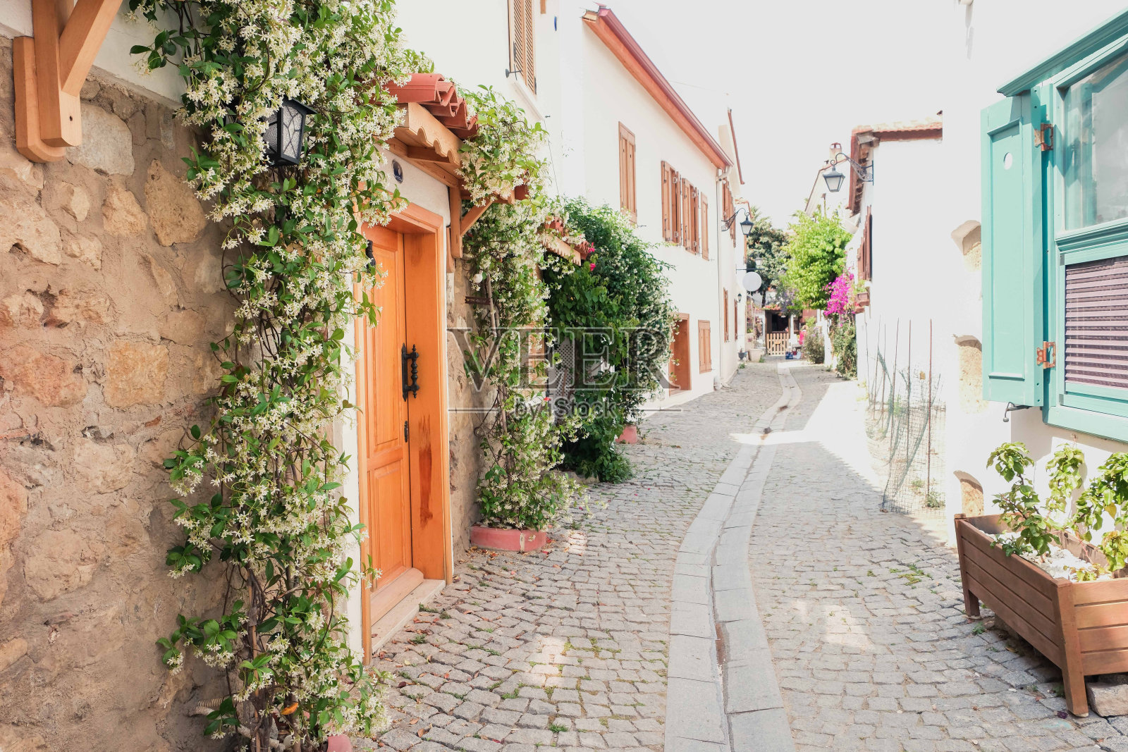 Sigacik街道,五彩缤纷的门,海滨小镇,安静的暑假,花的街道,Seferihisar,伊兹密尔,土耳其照片摄影图片