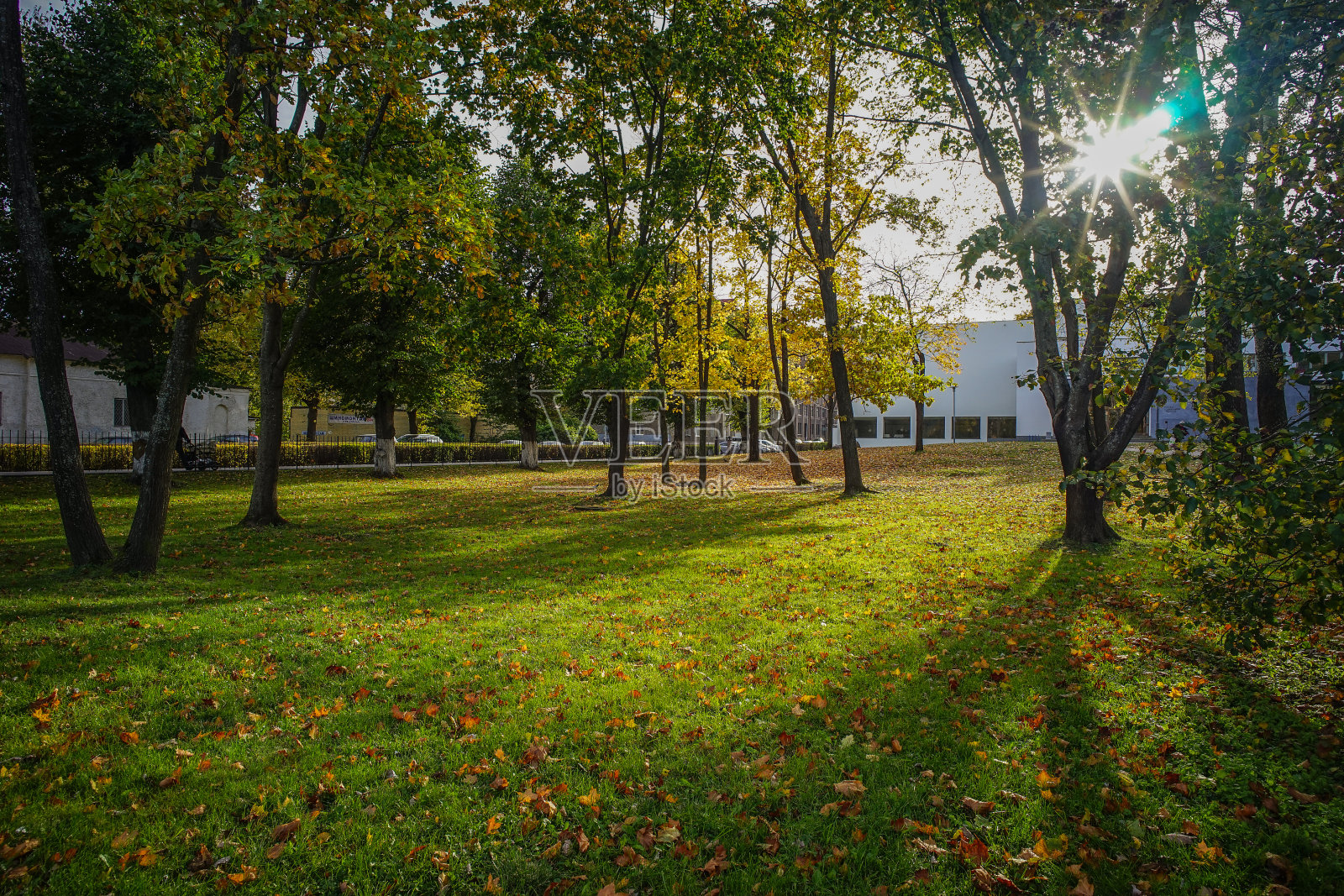 俄罗斯圣彼得堡的秋天公园照片摄影图片
