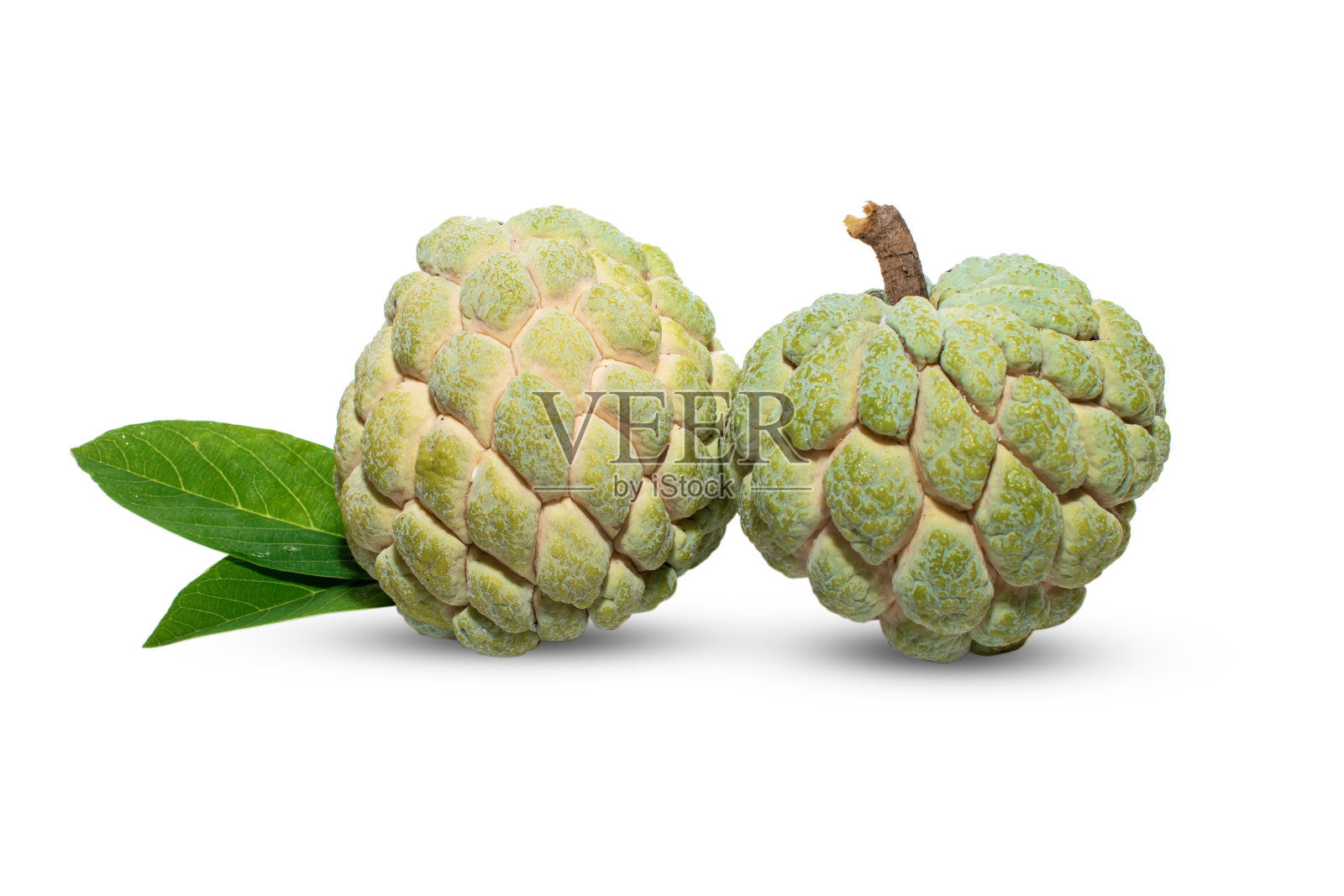 白底分离的白糖苹果或蛋奶苹果绿叶,果实健康照片摄影图片