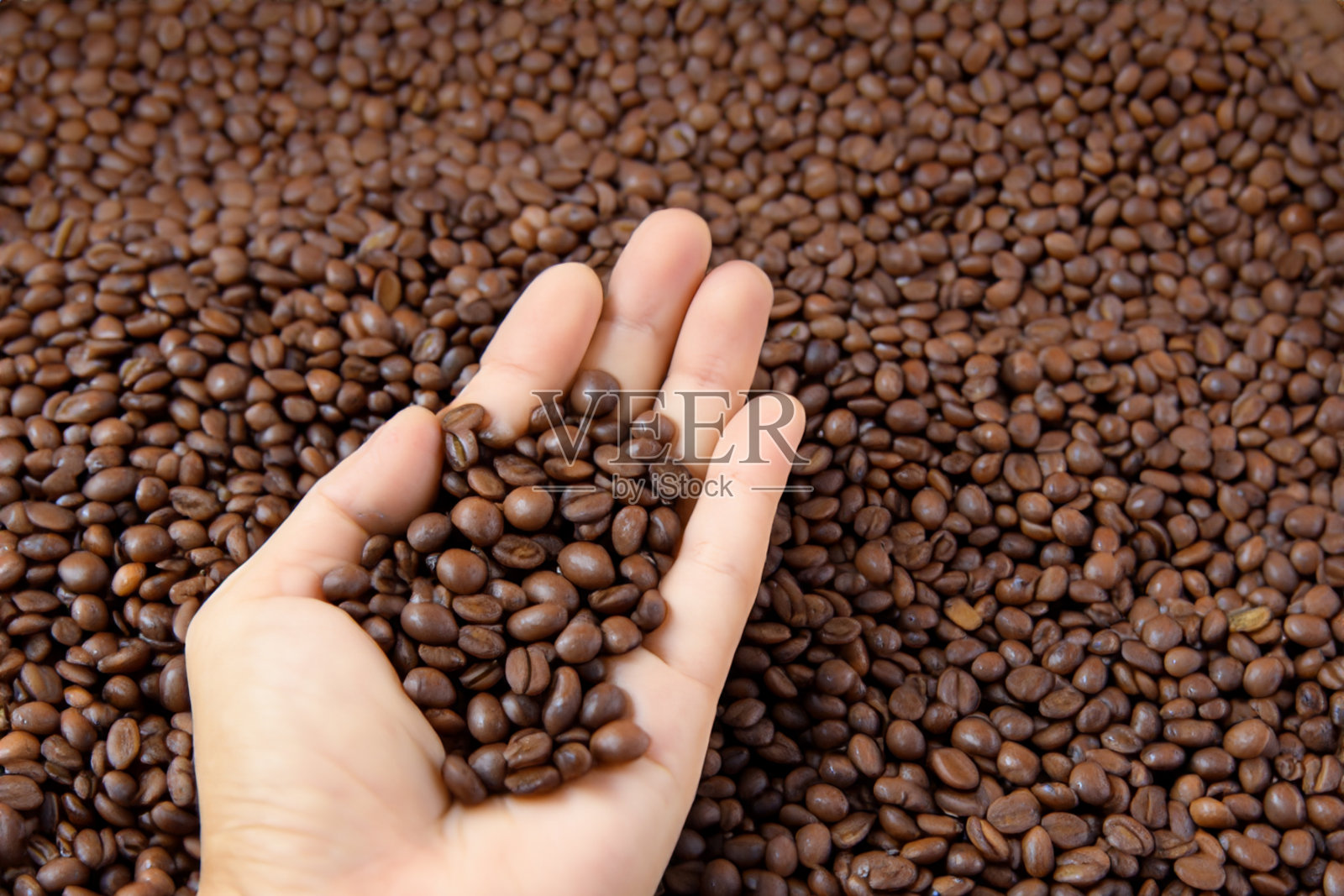 女性的手拿着形状的咖啡豆照片摄影图片