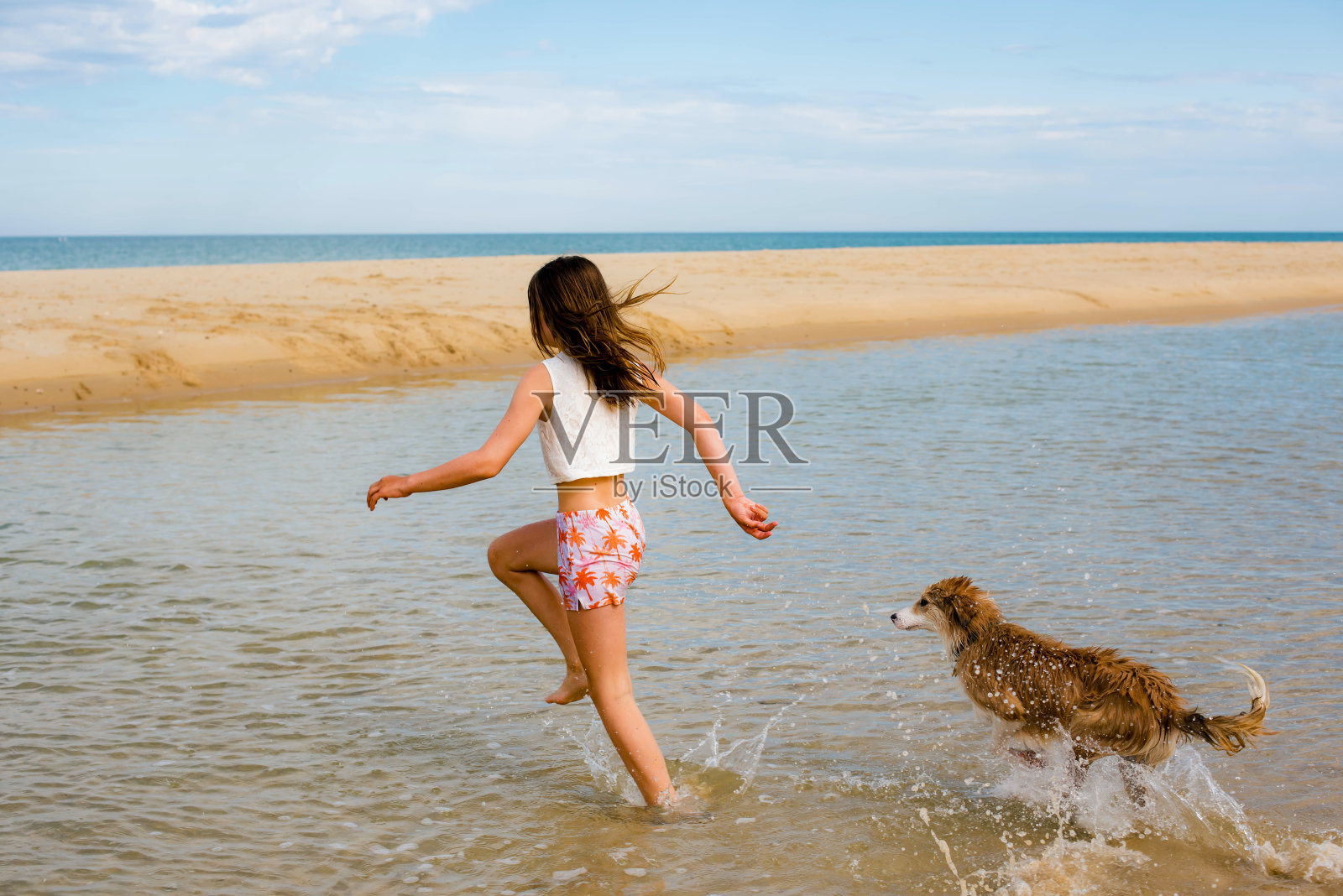 小女孩和她的狗在泻湖边的水里玩耍照片摄影图片