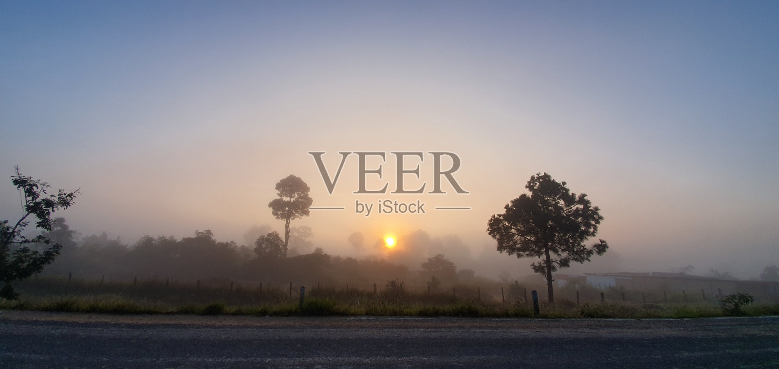 日出照片摄影图片