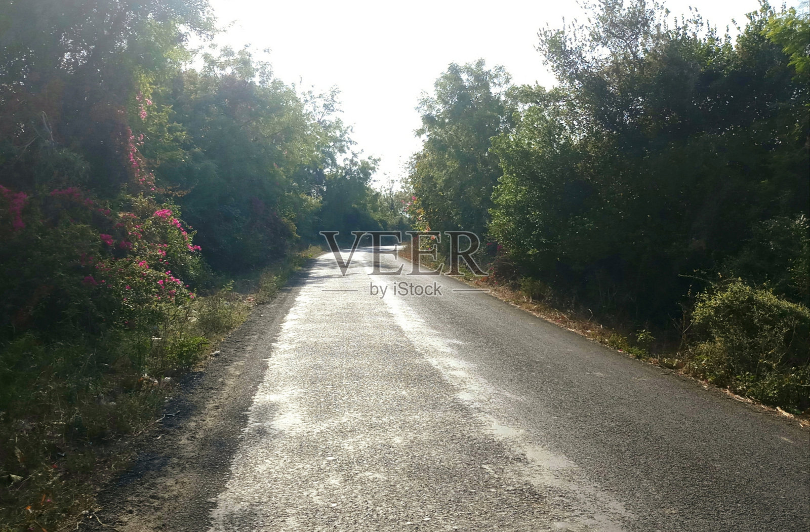 Dahegam m1照片摄影图片