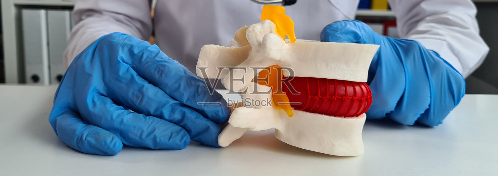 神经科医生拿着脊椎间疝的模拟照片摄影图片