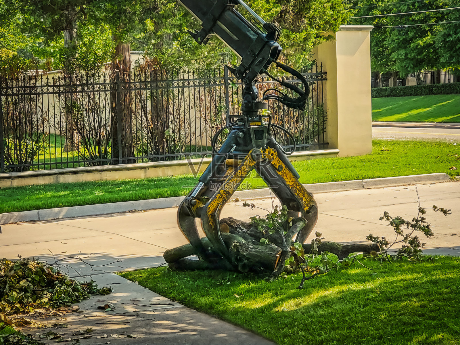 起重机上的抓钩在拾取原木——高档社区的风暴残骸照片摄影图片