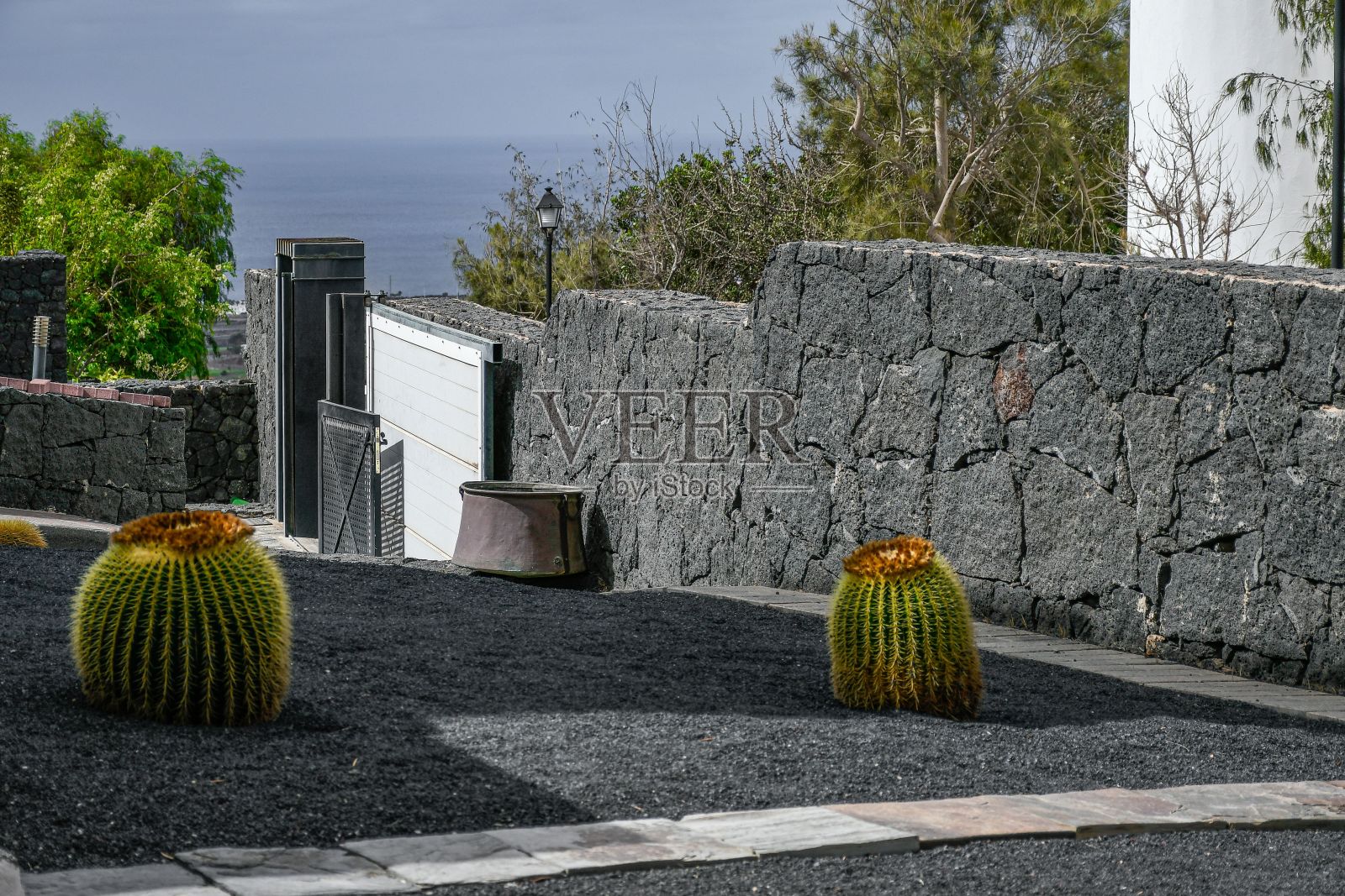 孤零零的仙人掌与西班牙加那利群岛形成鲜明对比照片摄影图片