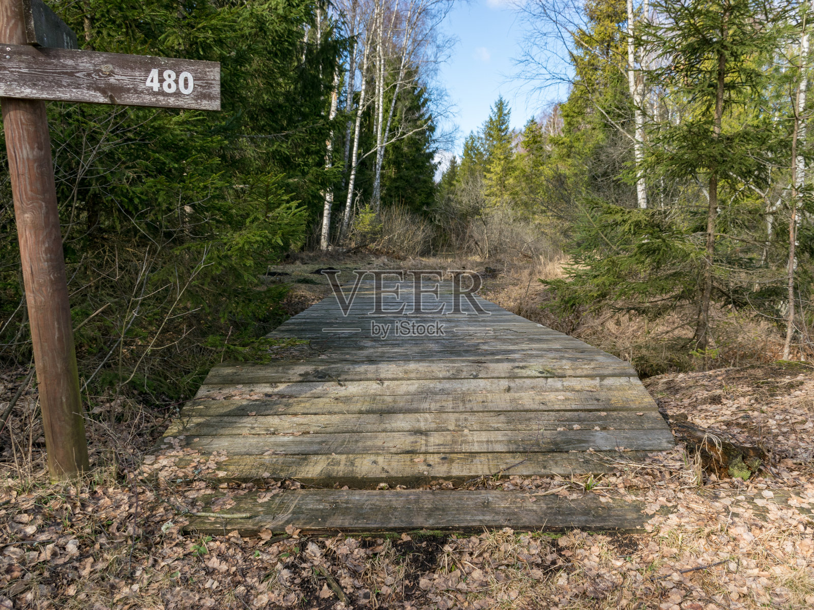 在湖边野餐的照片照片摄影图片
