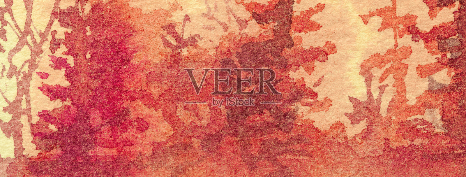 抽象艺术背景红色和珊瑚色。水彩画在画布上与桃色柔和的梯度。照片摄影图片