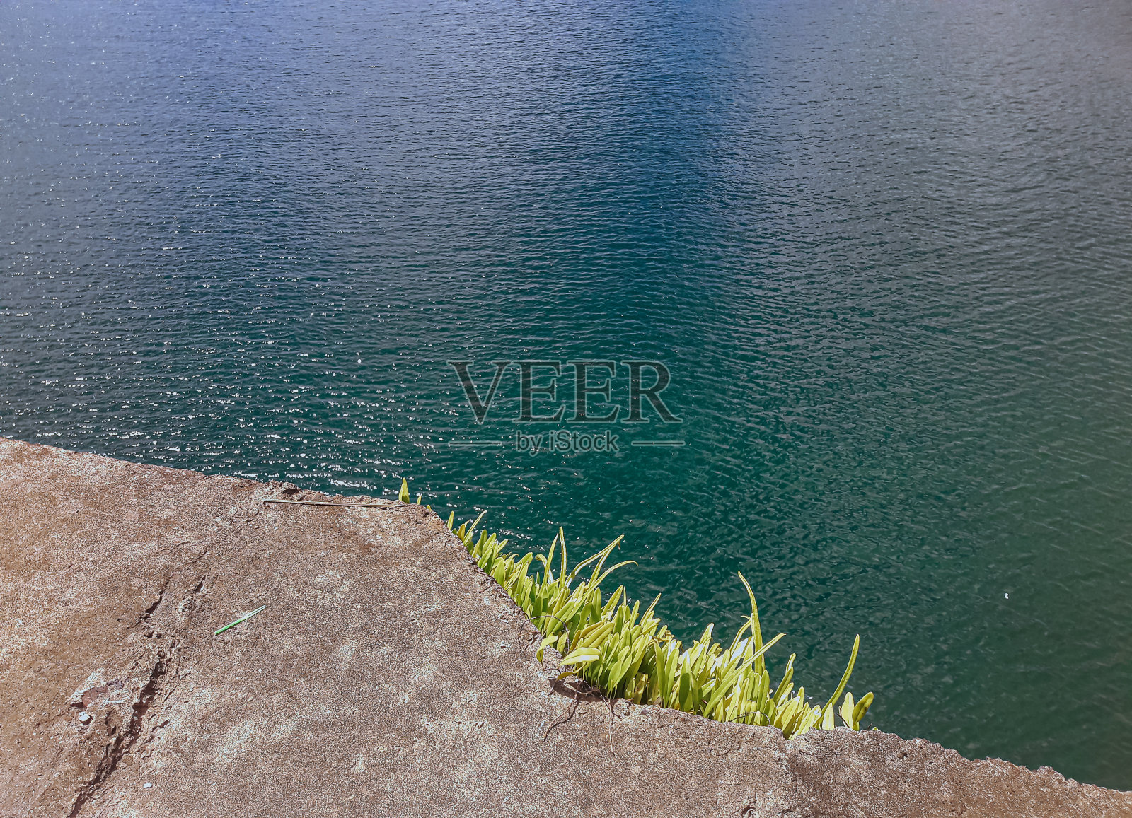 海边的桥墙上长着野草照片摄影图片