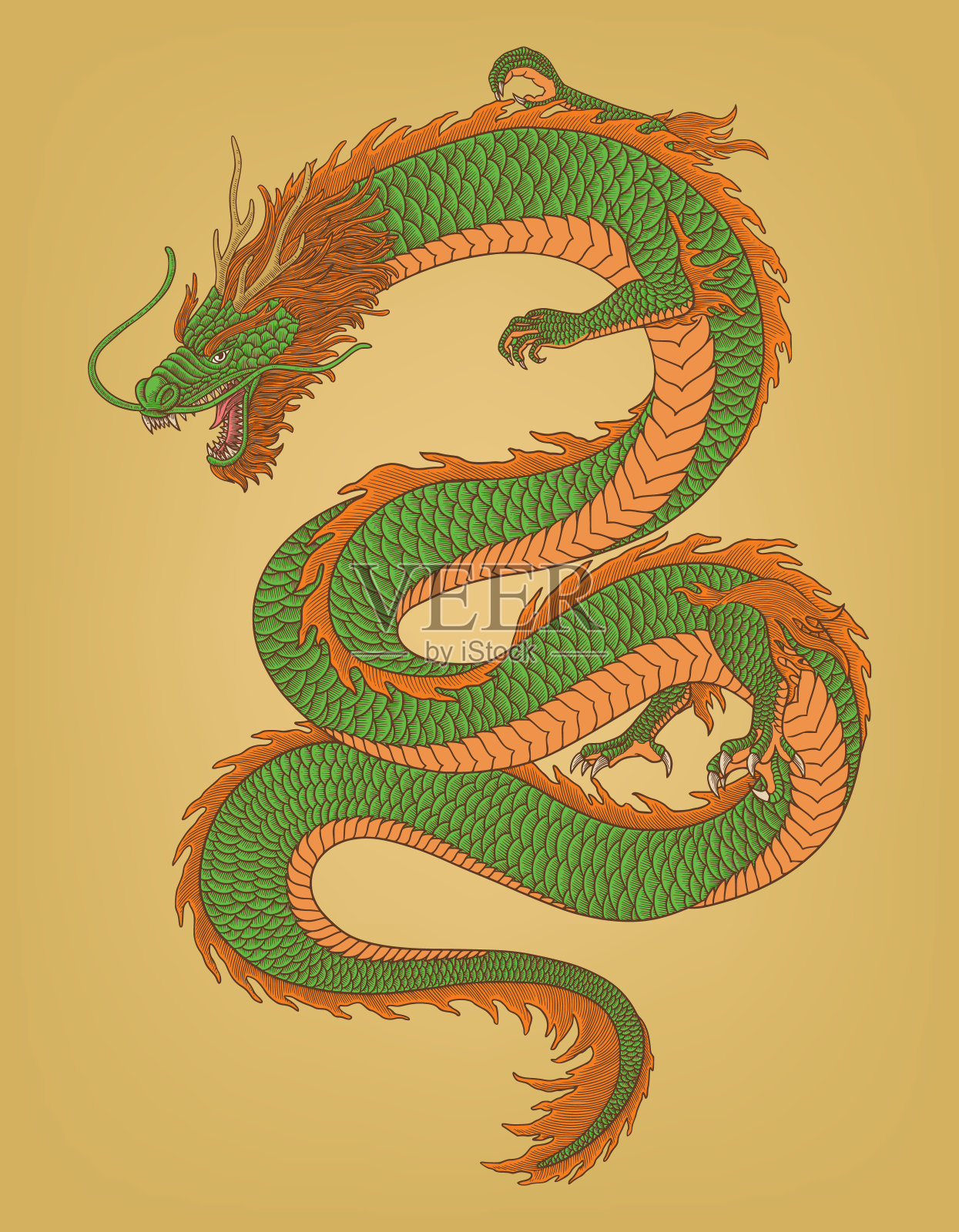 愤怒的中国龙,复古雕刻绘画风格矢量插图插画图片素材